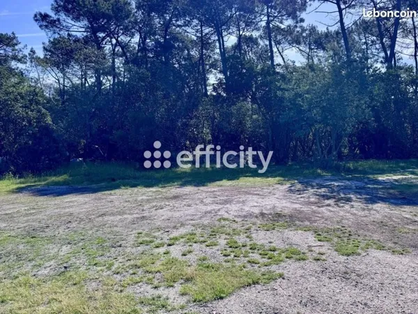 Terrain 1 000 m² Lanton