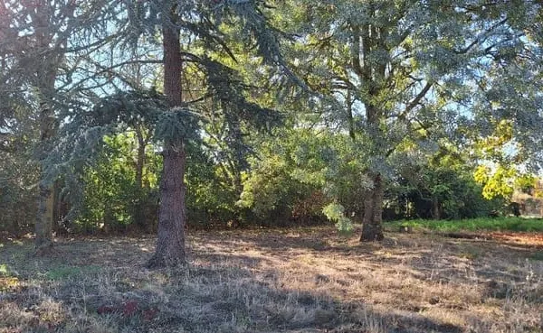 Terrain 660 m²