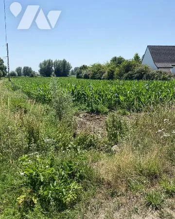 Terrain 750 m²