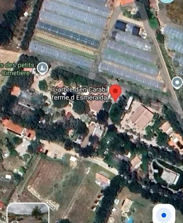 Vente grande propriété en viager alea