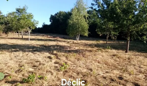 Terrain