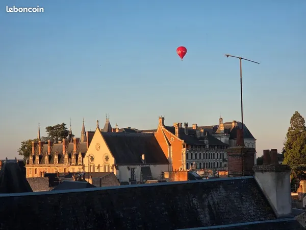 T3 de 65 m² avec vue Château - Coeur historique de Blois (Particulier)