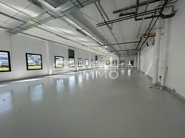 Local d'activité 597 m²