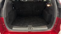 Ford Kuga 1.5 Flexifuel-E85 150ch Stop&Start ST-Line 4x2 Euro6.2 — photo 14