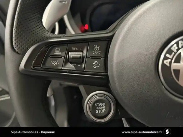 Alfa Romeo Stelvio 2.2 160 ch at8 — photo 77