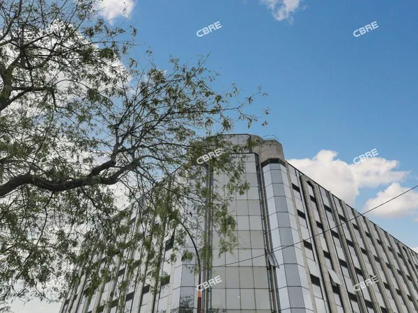 Bureau 1003 m²