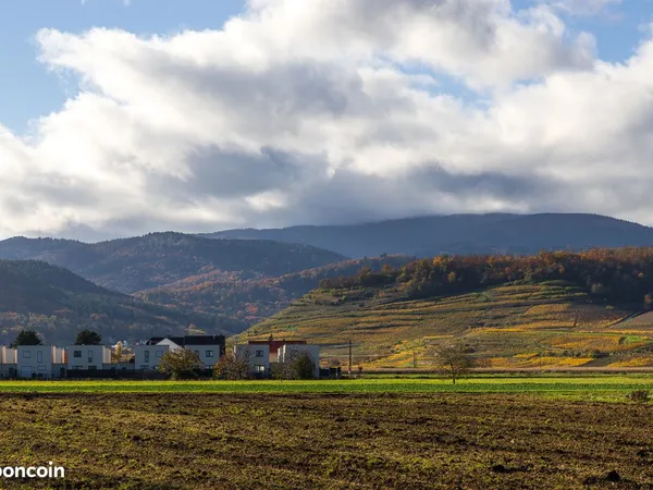 Terrain 497 m² Issenheim