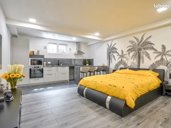 Sartrouville 78 - Grand studio meublé 35m2