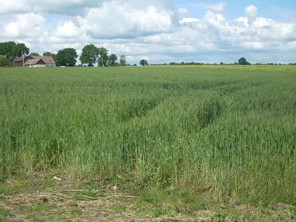 Terrains 4 118 m² saint georges du rosay 72110