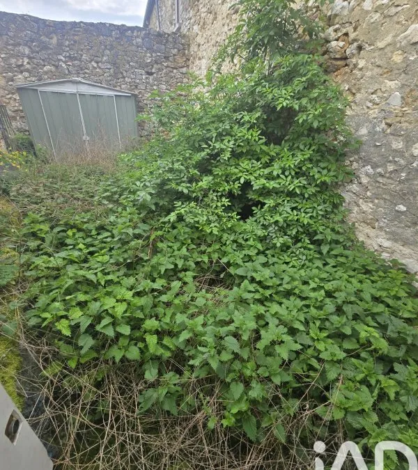Photo 11