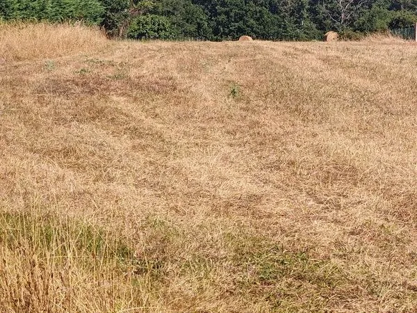 Terrain constructible-projet 9 maisons