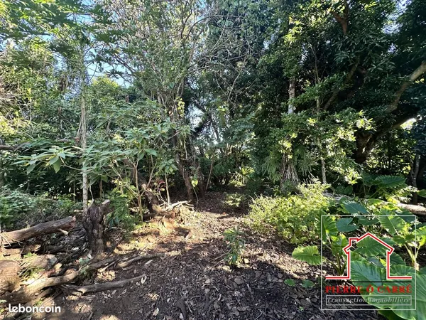 Terrain 1205 m² Sainte-Rose