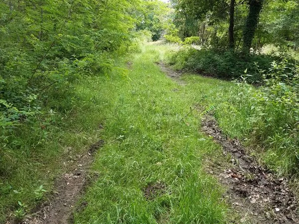 Terrain tuzan