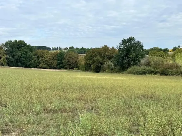 Terrain 980 m²