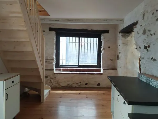 Grand appartement duplexe