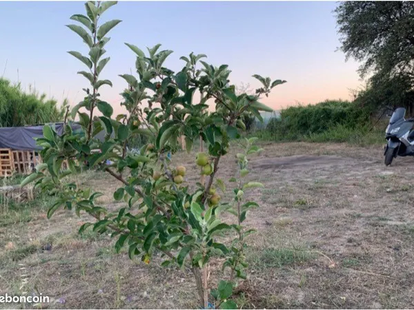 Terrain agricole/loisir