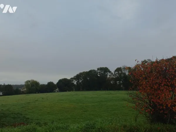 Terrain 256 m²