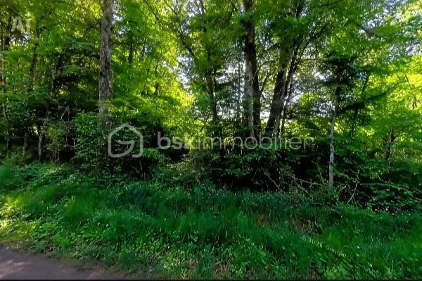 Terrain 5743 m²