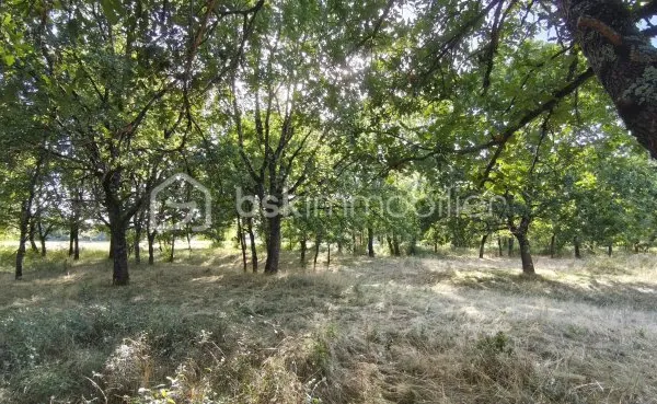 Terrain 1645 m²
