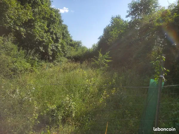 Location jardin