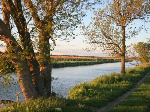 Terrain 1189 m²
