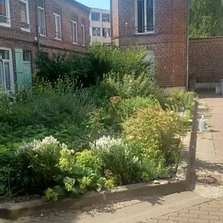 Vente maison de courée