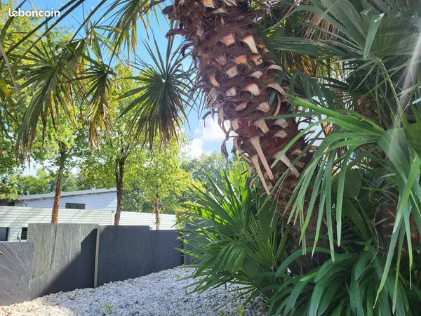 Local 600 m² Ploeren