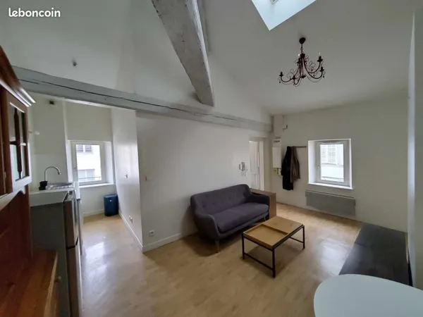 Appartement meublé très lumineux 46m² - Hyper-centre Nancy