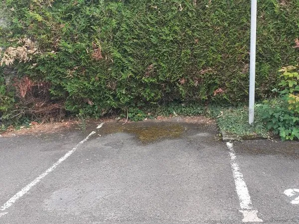 Place parking