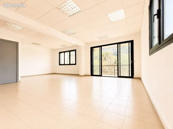 Locaux professionnels / Bureaux