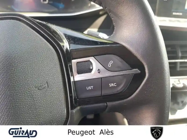 Peugeot 2008 bluehdi 130 s&amp;s eat8 — photo 39