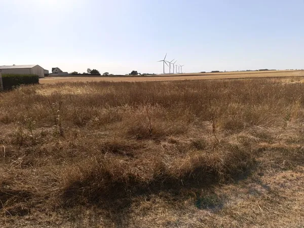 ? TERRAIN 3 980 m² ? TORVILLE (45)