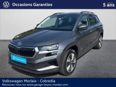 Skoda Karoq 2.0 tdi 116ch scr business dsg7