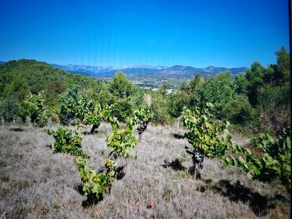 Vente terrain agricole de loisirs avec vignes