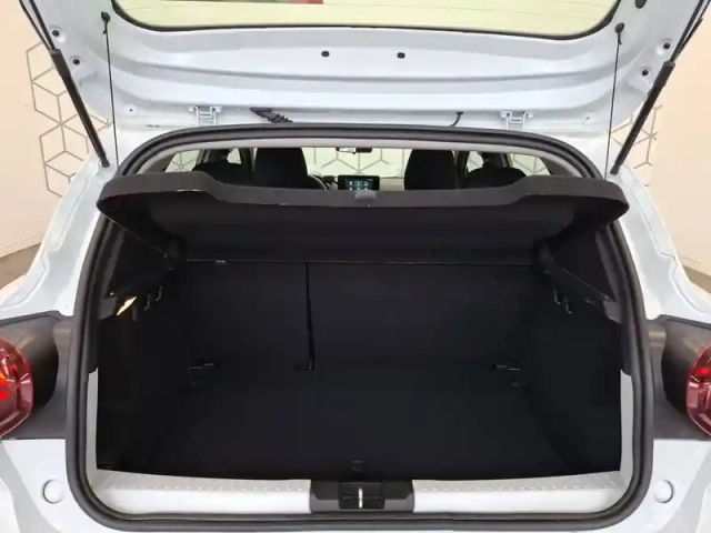 Dacia Sandero eco-g 100 — photo 16