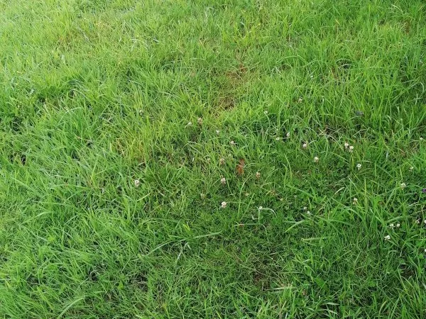 Terrain 450 m²