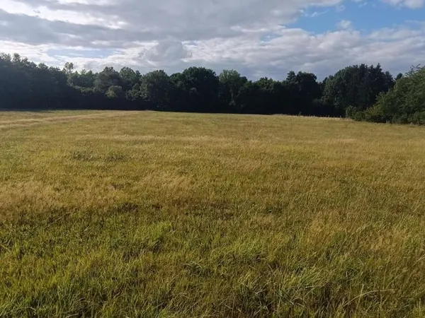 Terrain 9 159 m² Luxeuil Les Bains