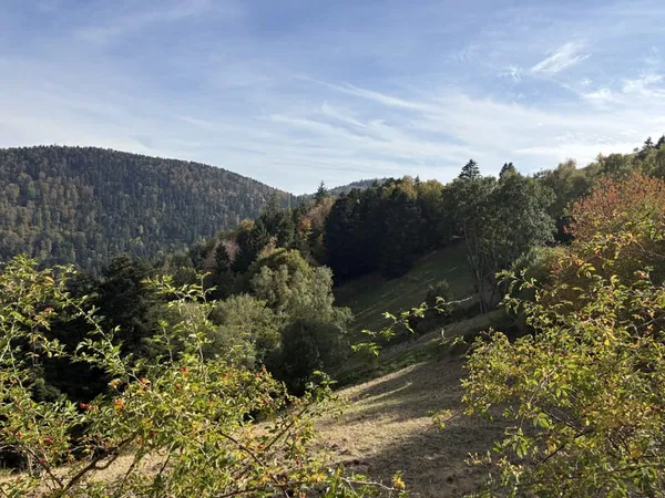 BATIMENT / FERME sur le massif vosgien