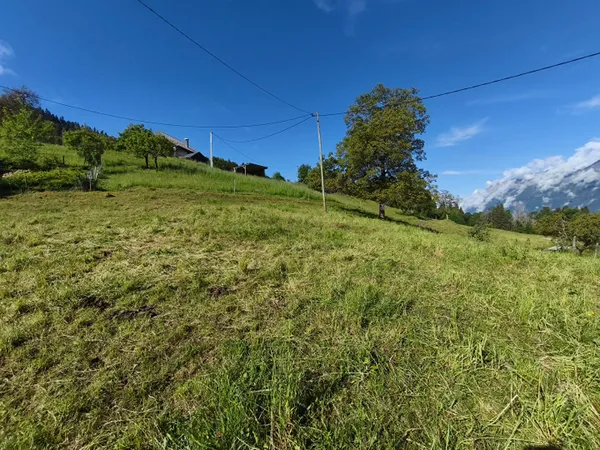 Terrain 957 m²