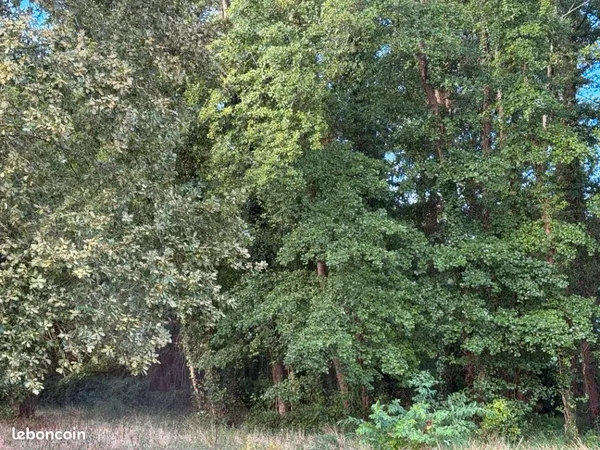 Terrain 610 m² Audenge