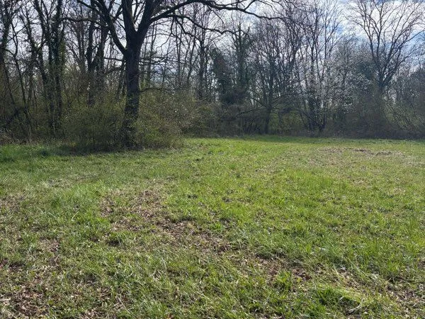 Parcelle enherbée à louer