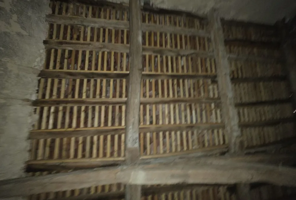 Photo 20