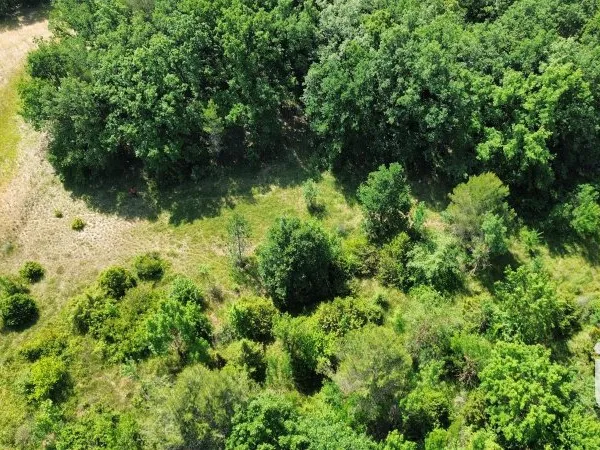 Terrain 12527 m²