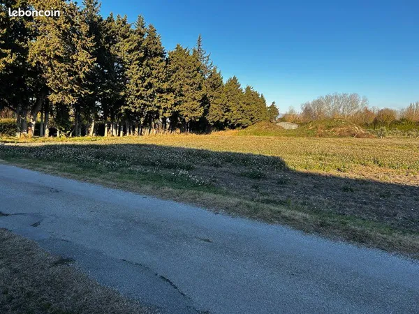 Terrain agricole
