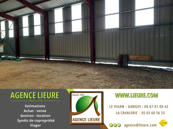 Local 1 pièce 394 m²