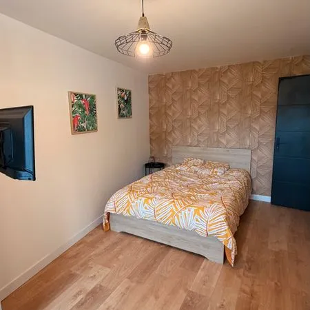 1ch dans coloc meublée avec jardin