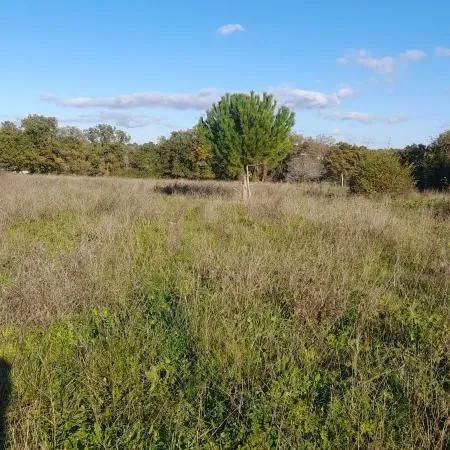 Terrain 1 800 m² Castelnau Valence