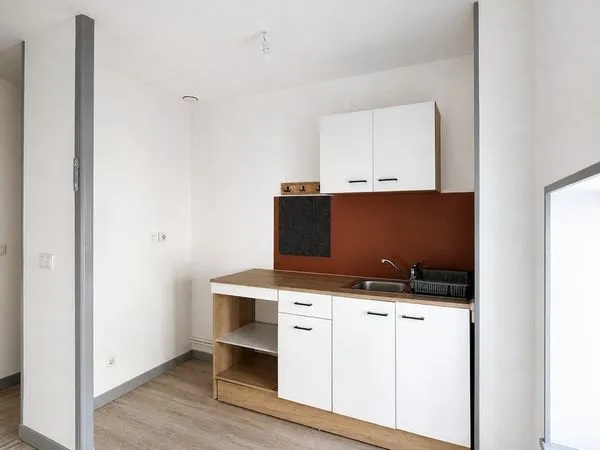 T1 rénové avec chambre séparée - 35m² - St Vallier centre