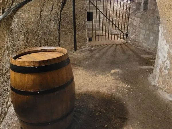 Cave à Vin - Caveau - Stockage Bouteilles