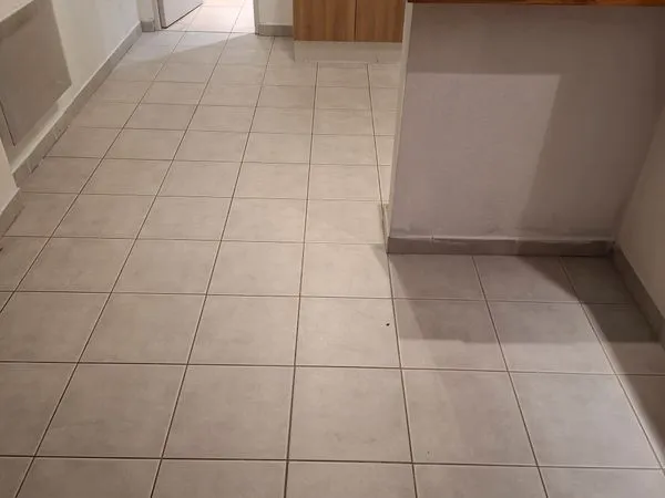 Appartement Location Ars-sur-Moselle 2p 50m² 650€